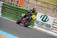 Vintage-motorcycle-club;eventdigitalimages;mallory-park;mallory-park-trackday-photographs;no-limits-trackdays;peter-wileman-photography;trackday-digital-images;trackday-photos;vmcc-festival-1000-bikes-photographs